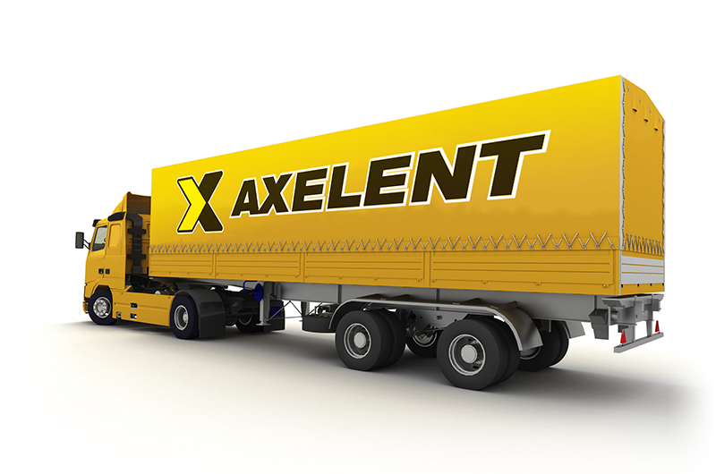 Sektionsbild Axelent